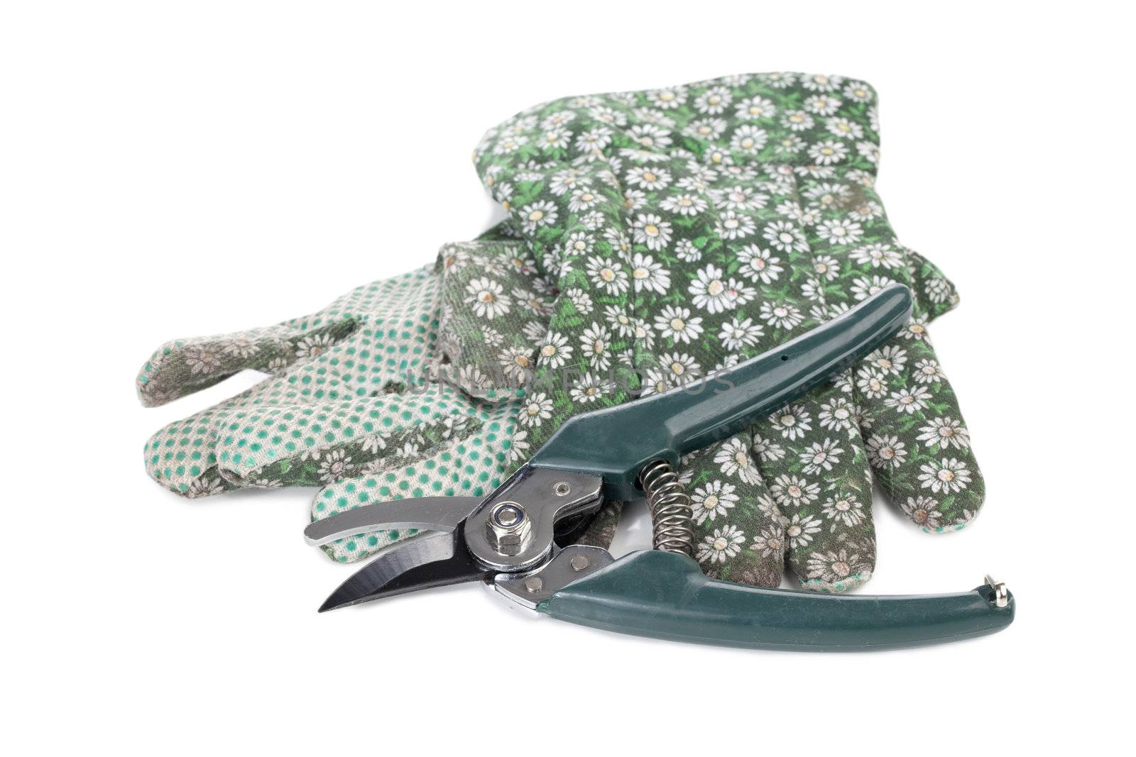 gardening gloves and pruner by kozzi