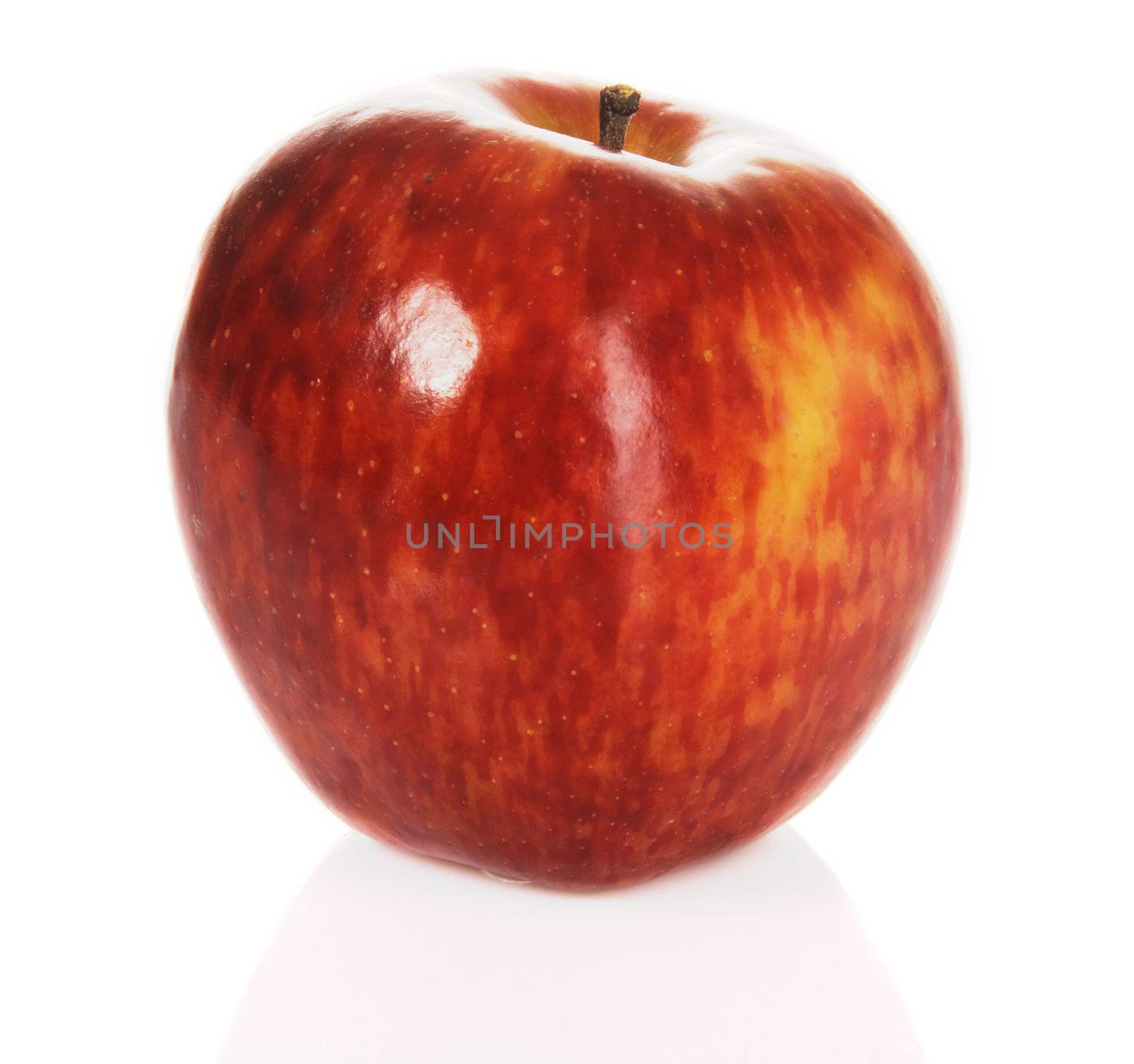 Red apple on white background