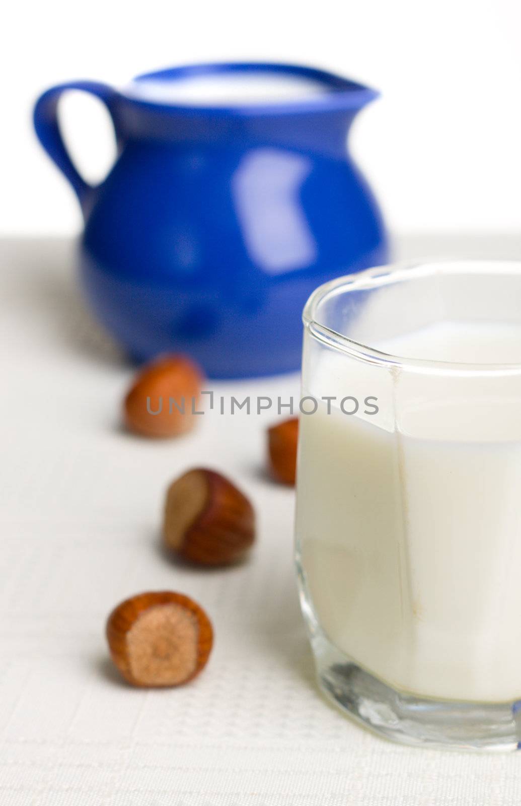 Fresh milk and nuts by Gdolgikh