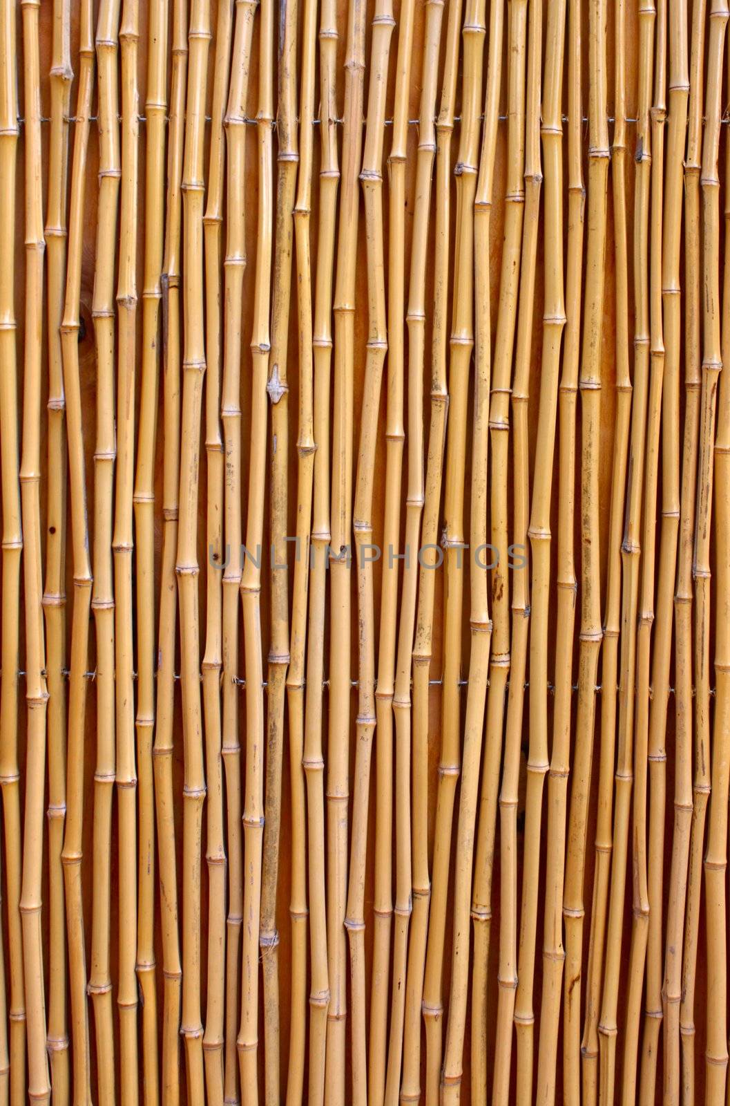 Natural detailed bamboo texture