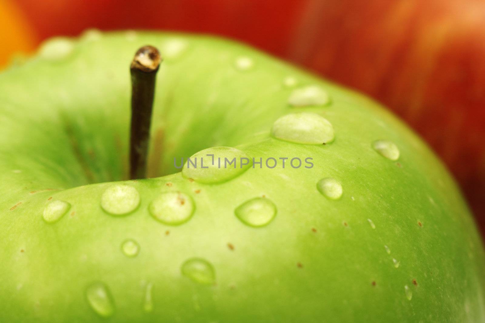 Fresh green apple macro photo by Gdolgikh