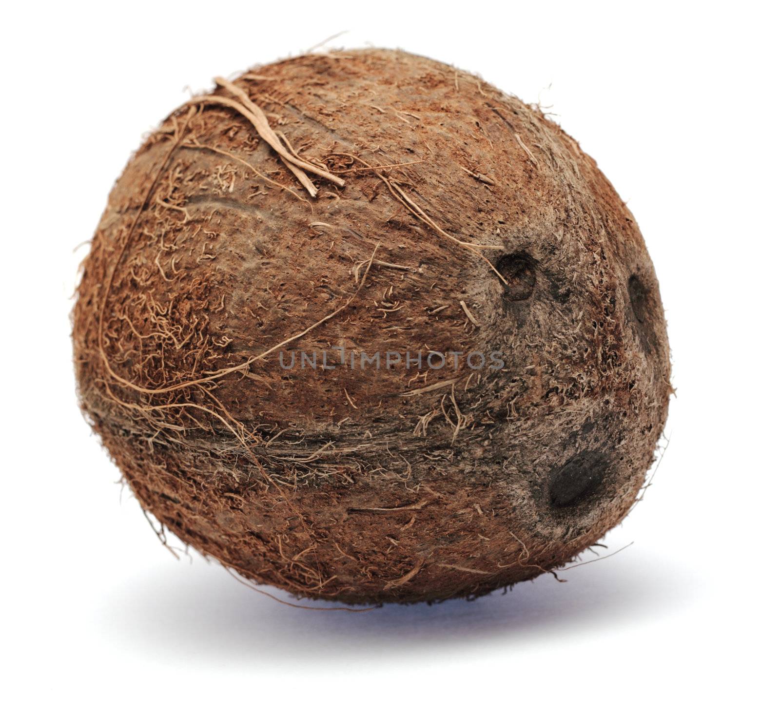 Coconut isolated on white background by Gdolgikh