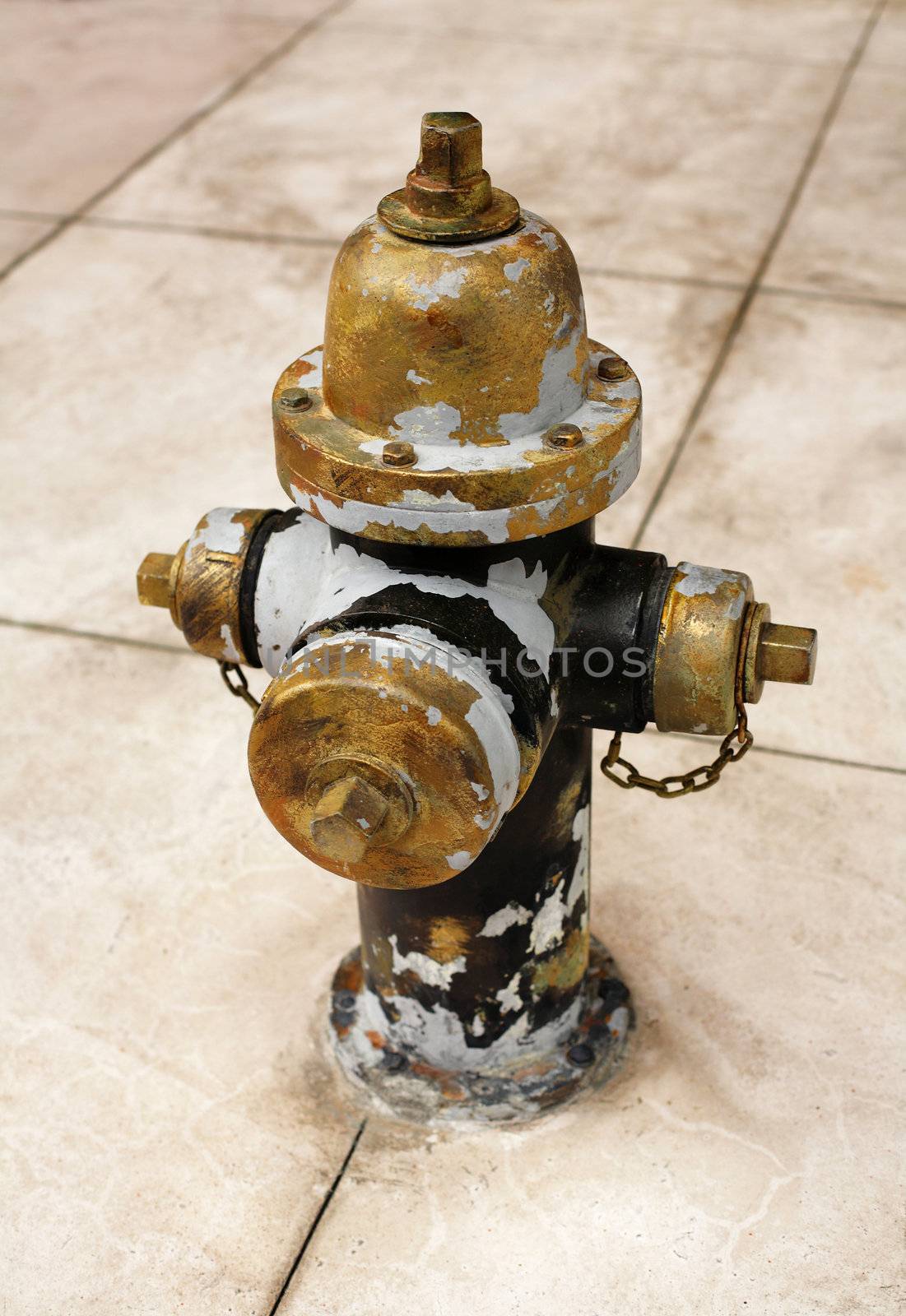 Fire Hydrant