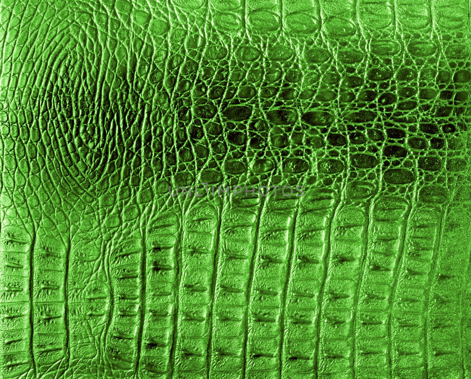 Texture of a reptile skin by Gdolgikh