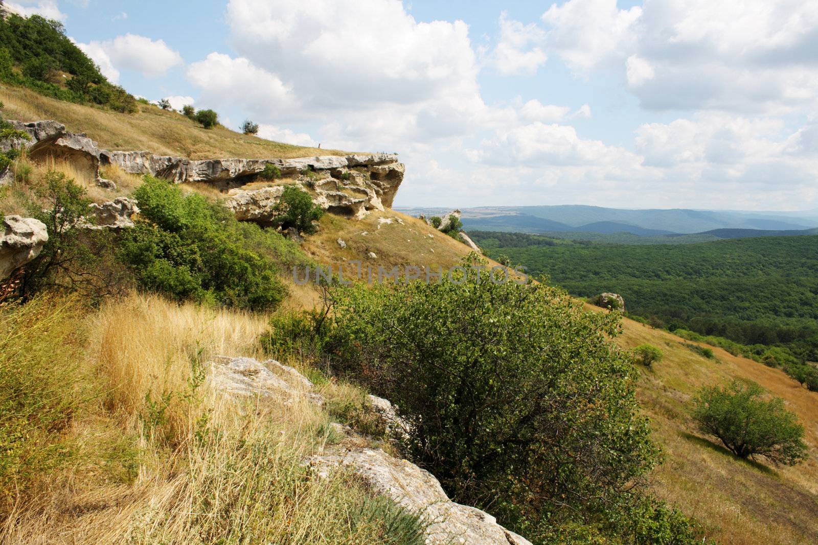 Summer mountain landscape by Gdolgikh