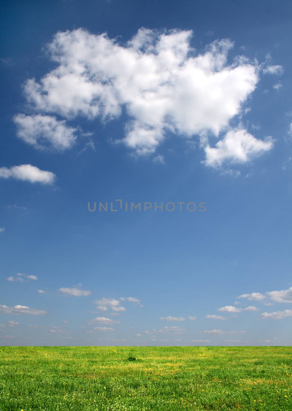 Clouds over a flower meadow on a sunny day