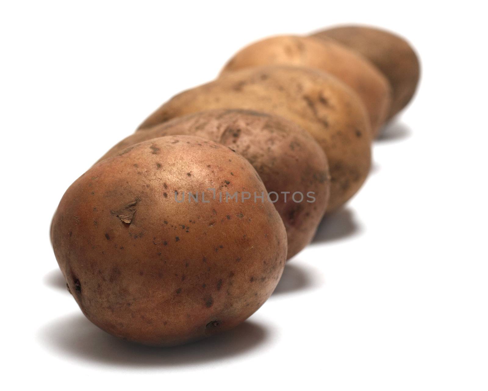 Organic raw potatoes in a row, isolated on white background.