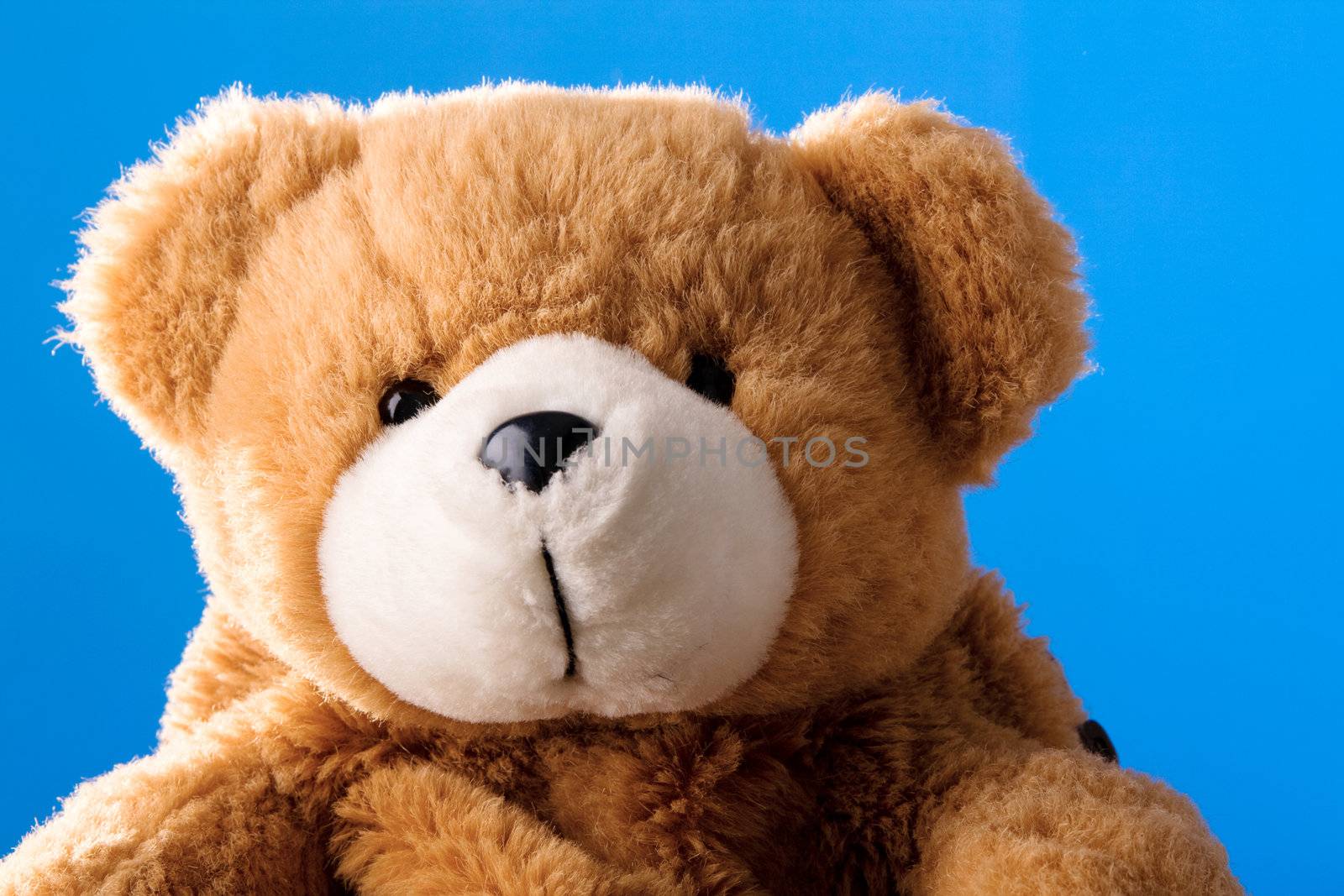 Cute teddy bear on blue background by Gdolgikh