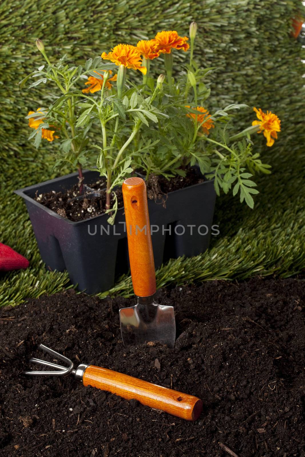 Rake and hoe beside two flower box in the backyard