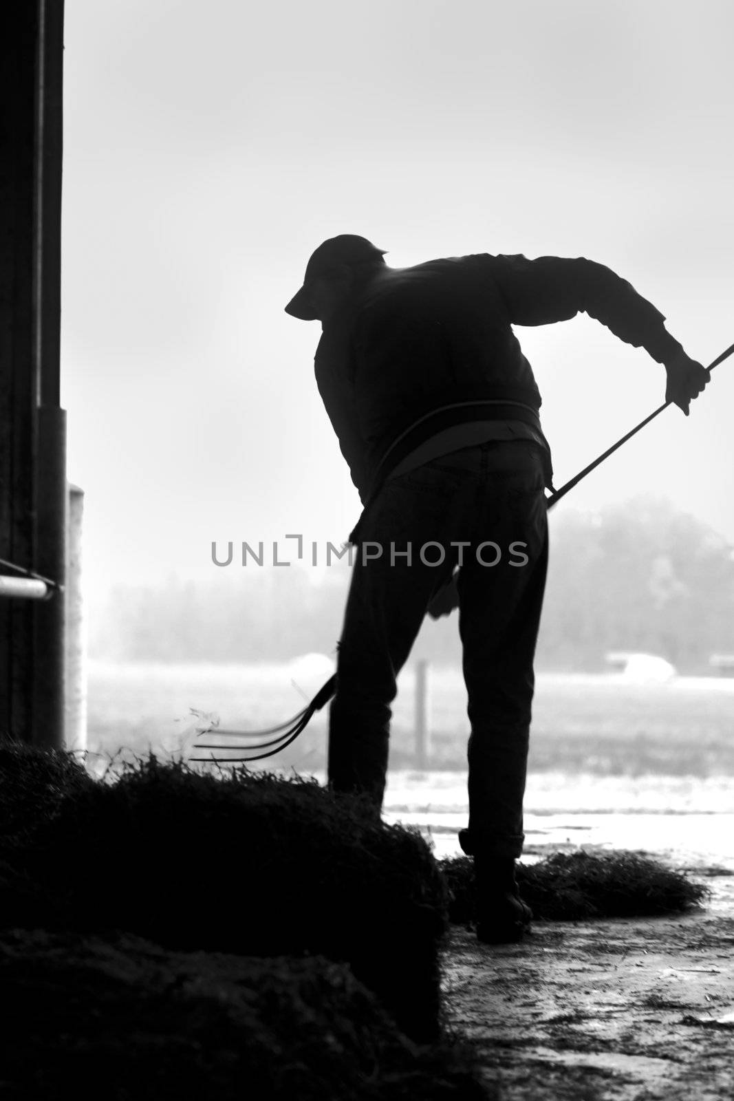Black and white image of male farmer with a pitchfork working on the farm