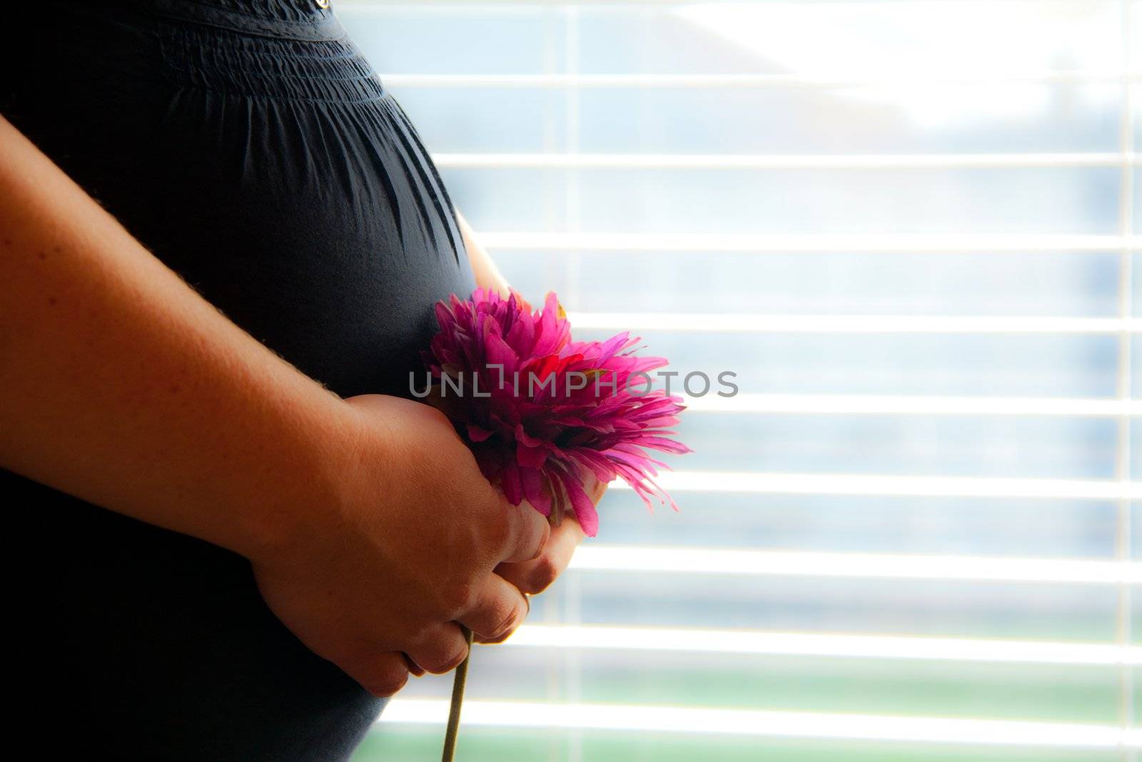 a pregnant woman holding a flower by a window