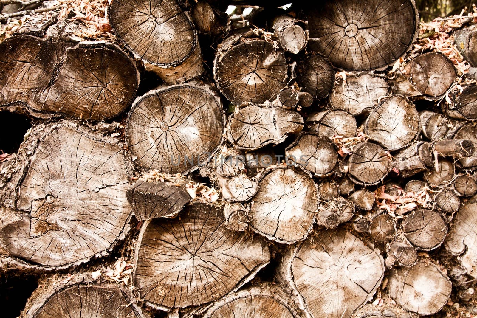 a background of a wood pile with many logs
