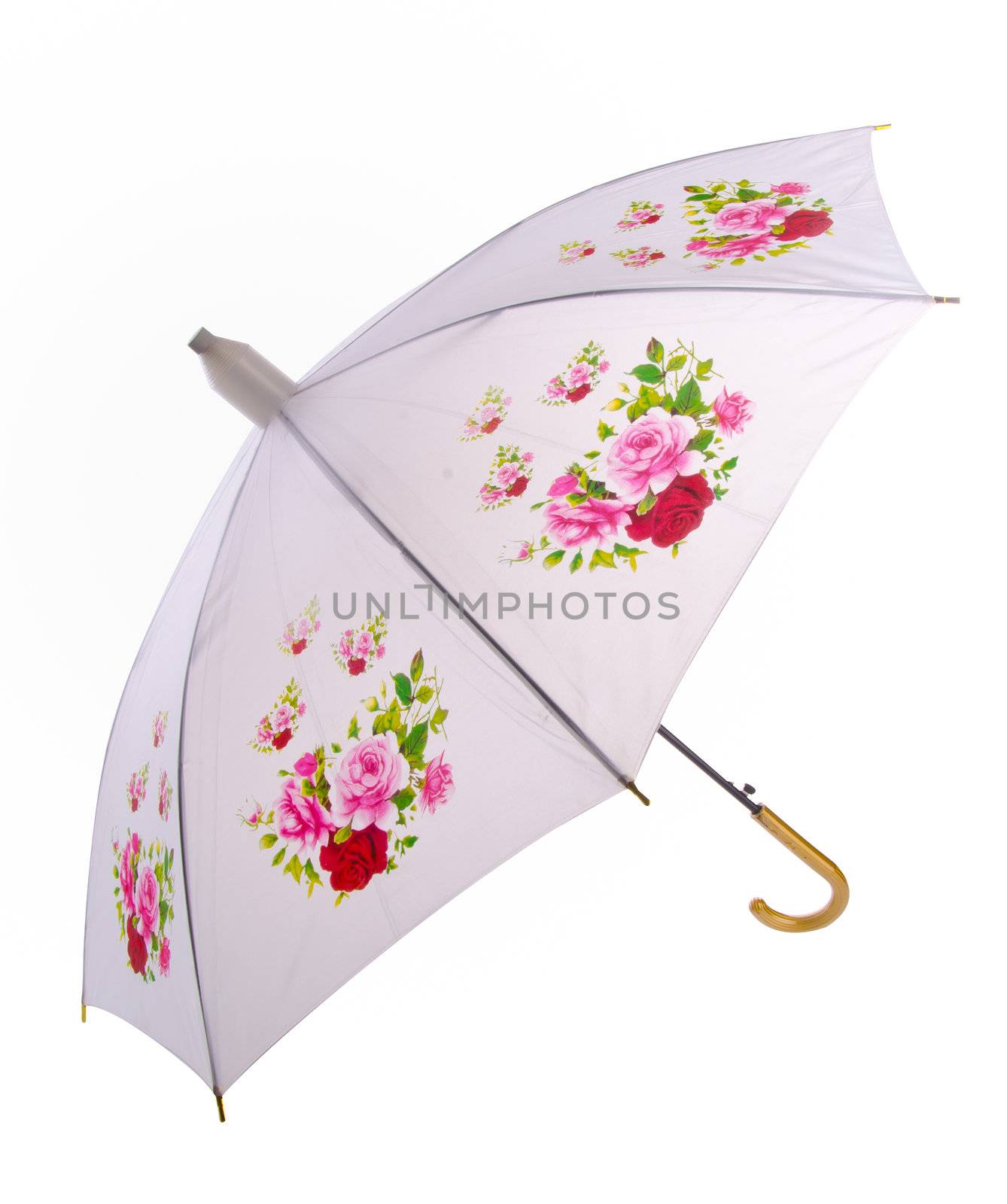 Umbrella, umbrella on the background.