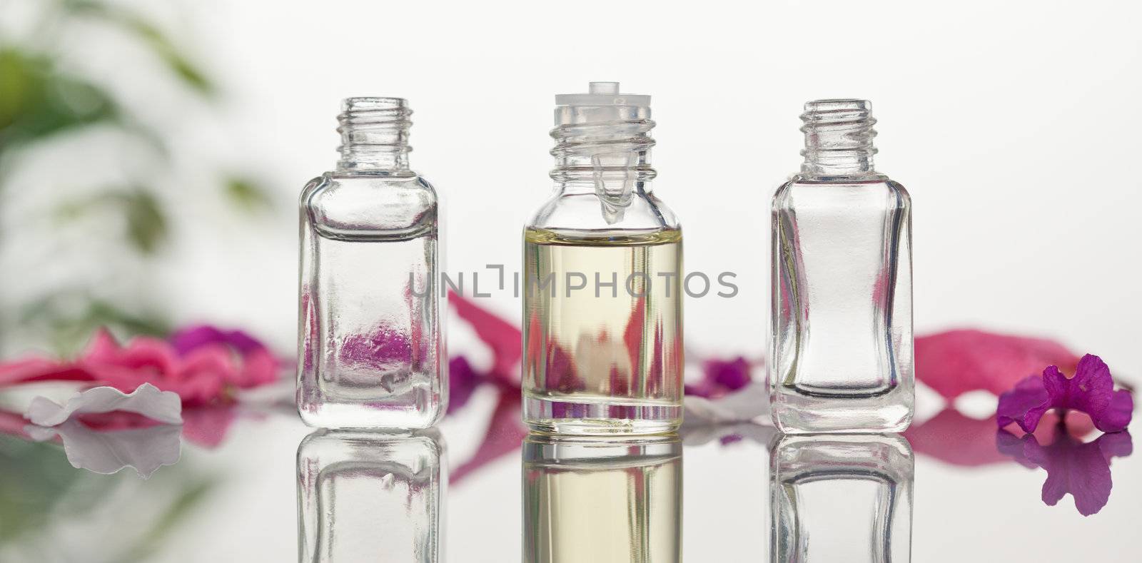 Glass flasks with leaves and pink petals focus on the flasks by Wavebreakmedia