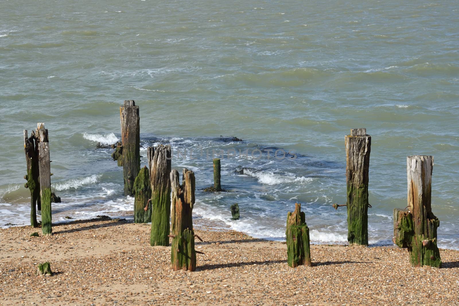 Wooden posts in sea by pauws99