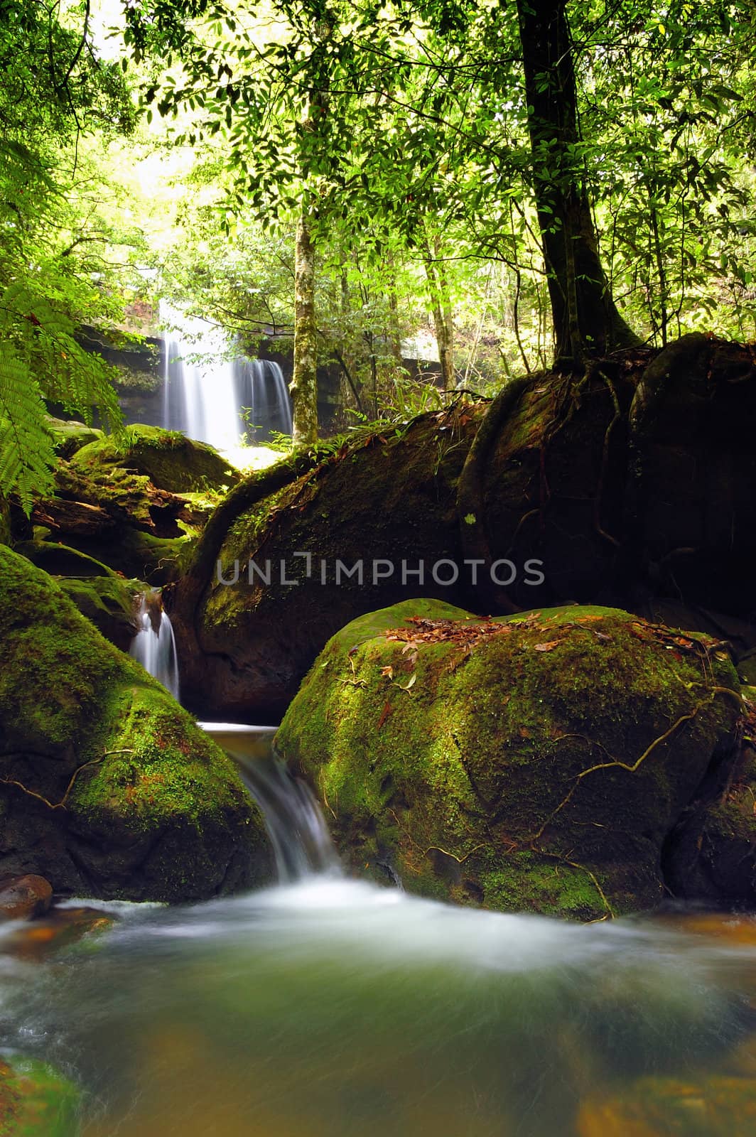 Waterfall at Phu Kra Dung national park. by ngungfoto