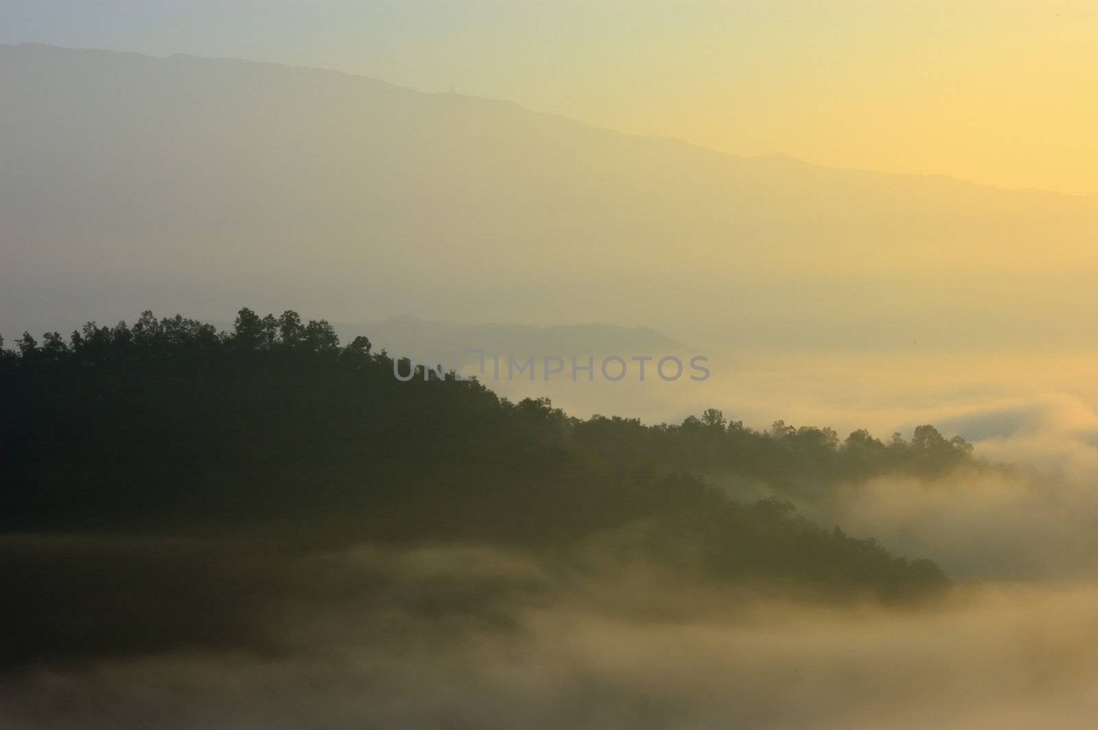 Sunrise at sea fog mountain national park, north Thailand.