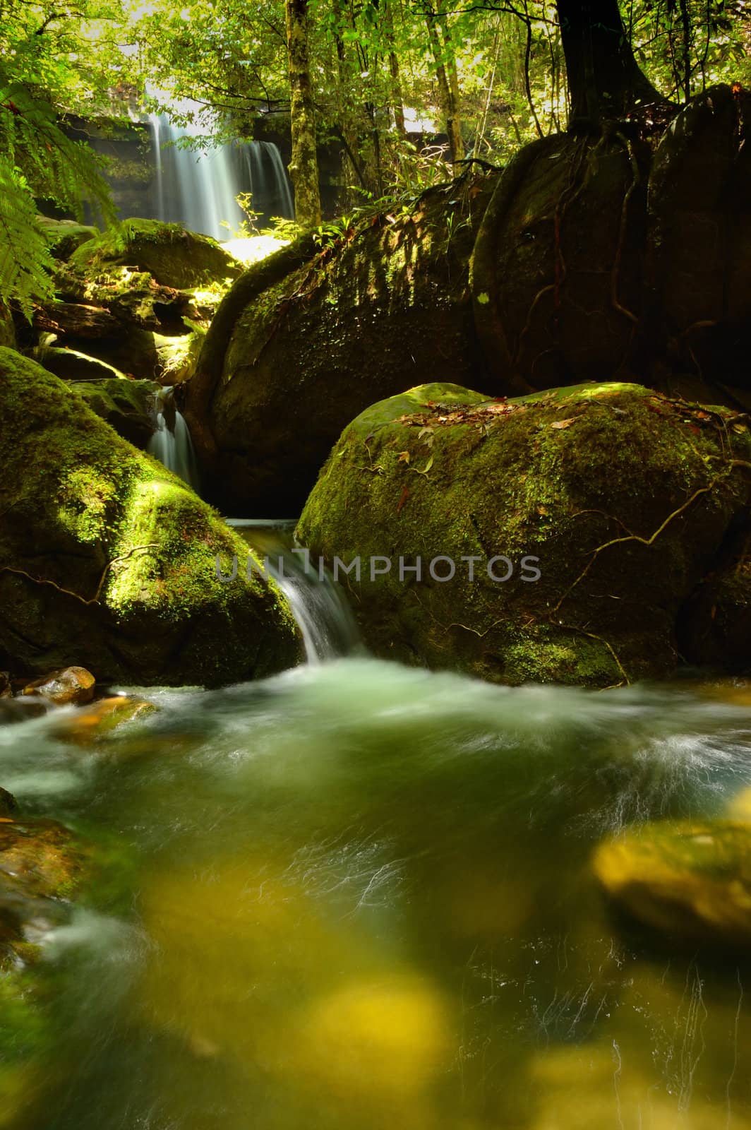 Waterfall at Phu Kra Dung national park. by ngungfoto