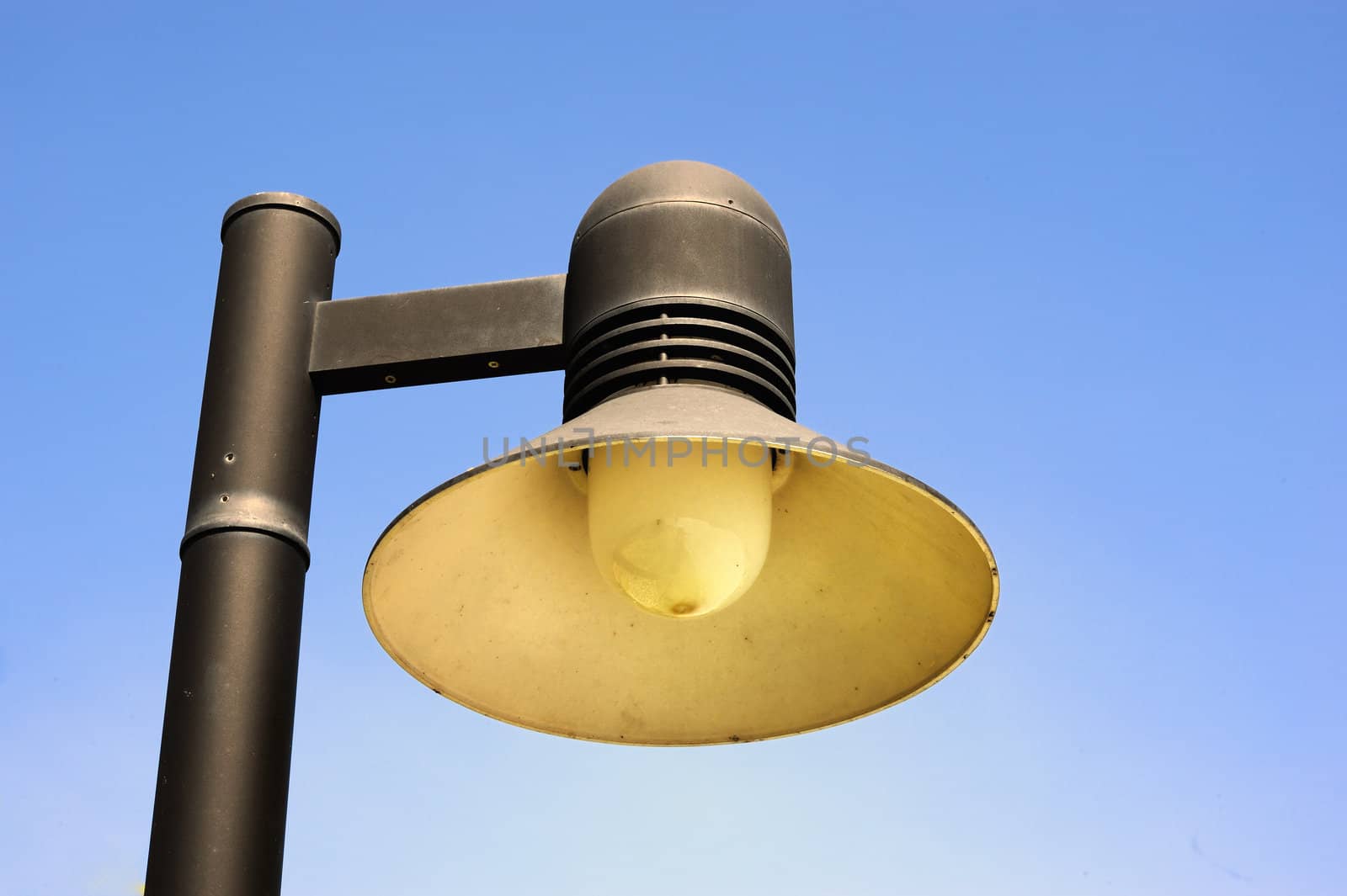 Streetlight isolated in sunny day. by ngungfoto