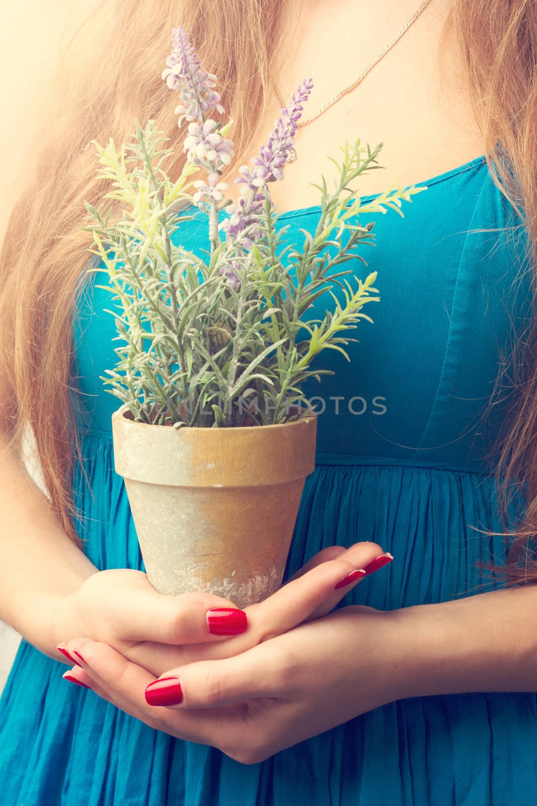 Close up of female hands with a flower in a pot
