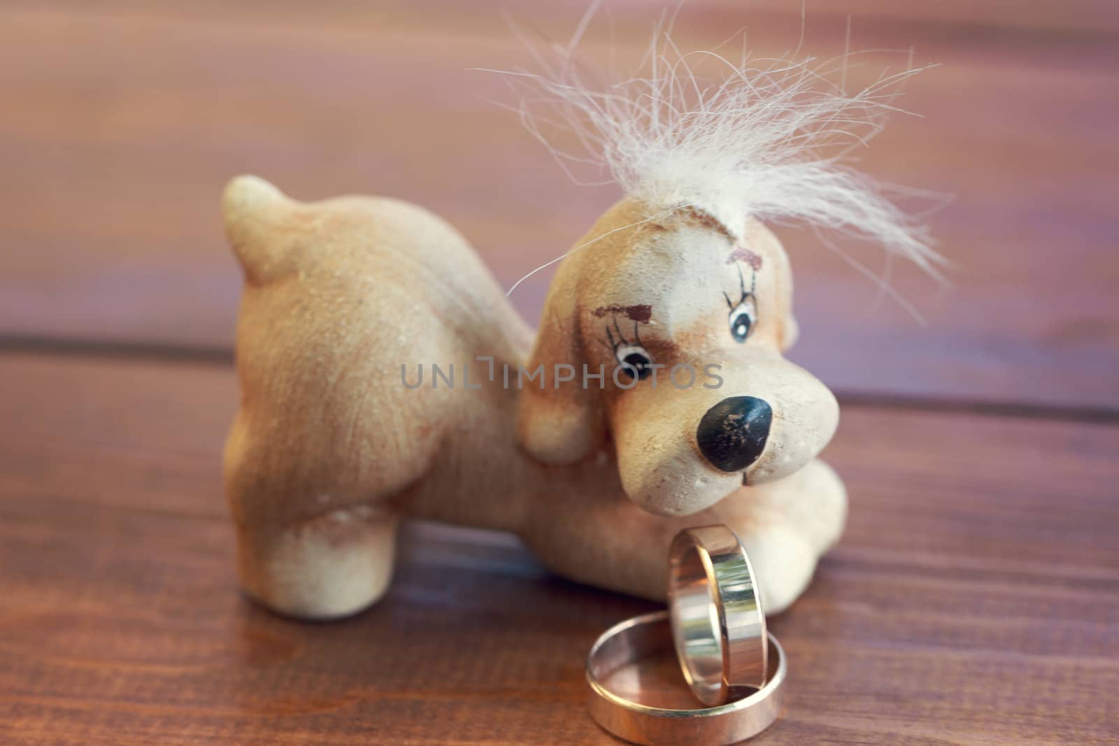 wedding rings on the background of dog figurines