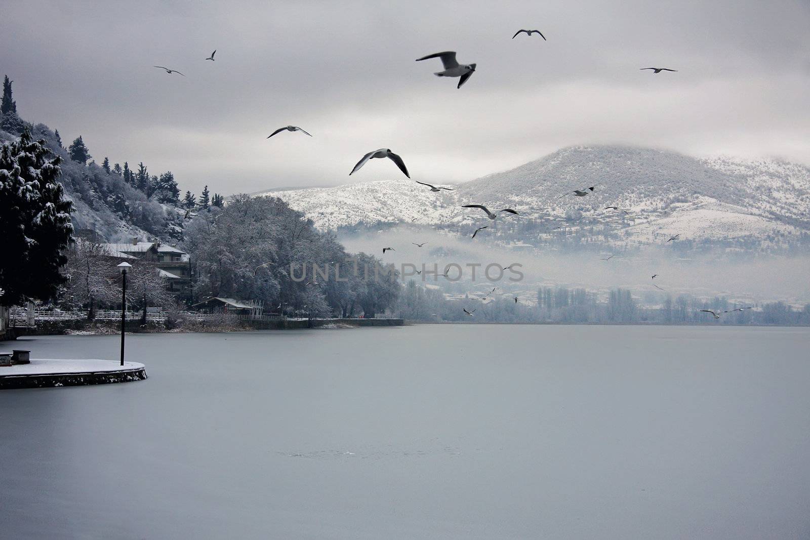 Frozen lake with birds, snow and clouds. Winter in Kastoria