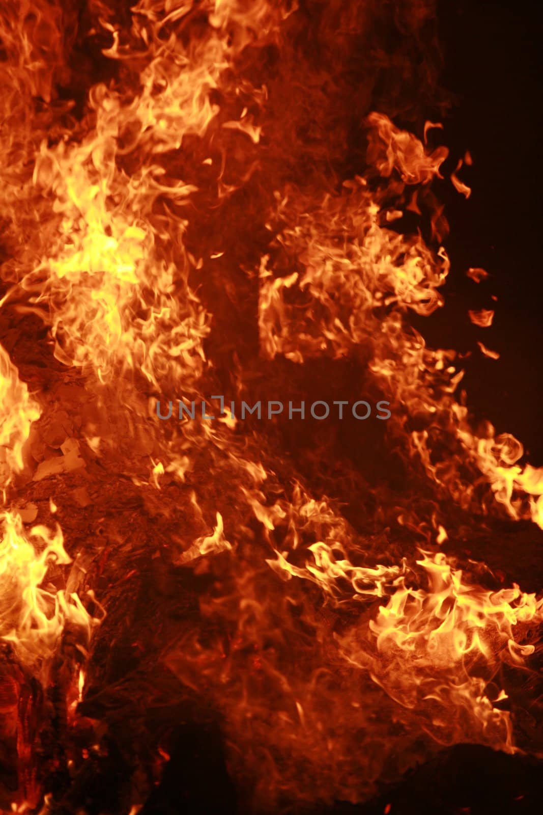 Close-up of a dangerous fire Close-up of a dangerous fire