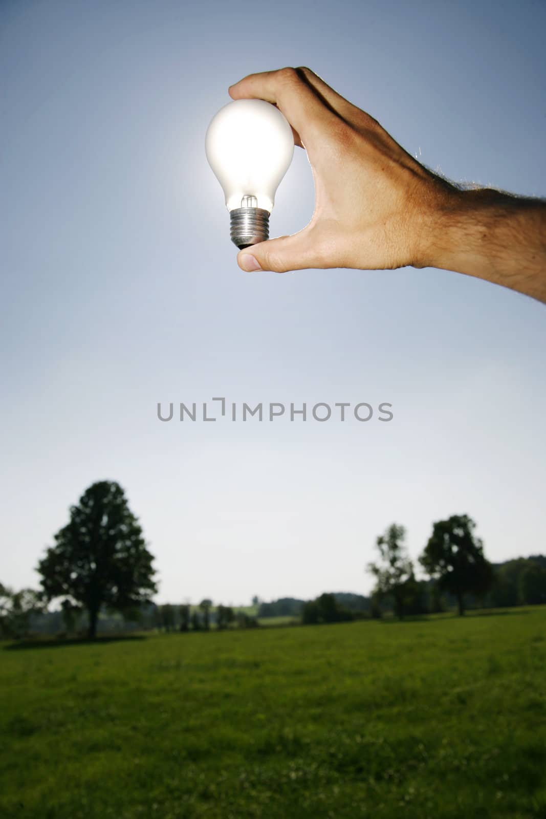 Global Concept of Green Energy Solutions With Light bulb and Planet on Bright Landscape