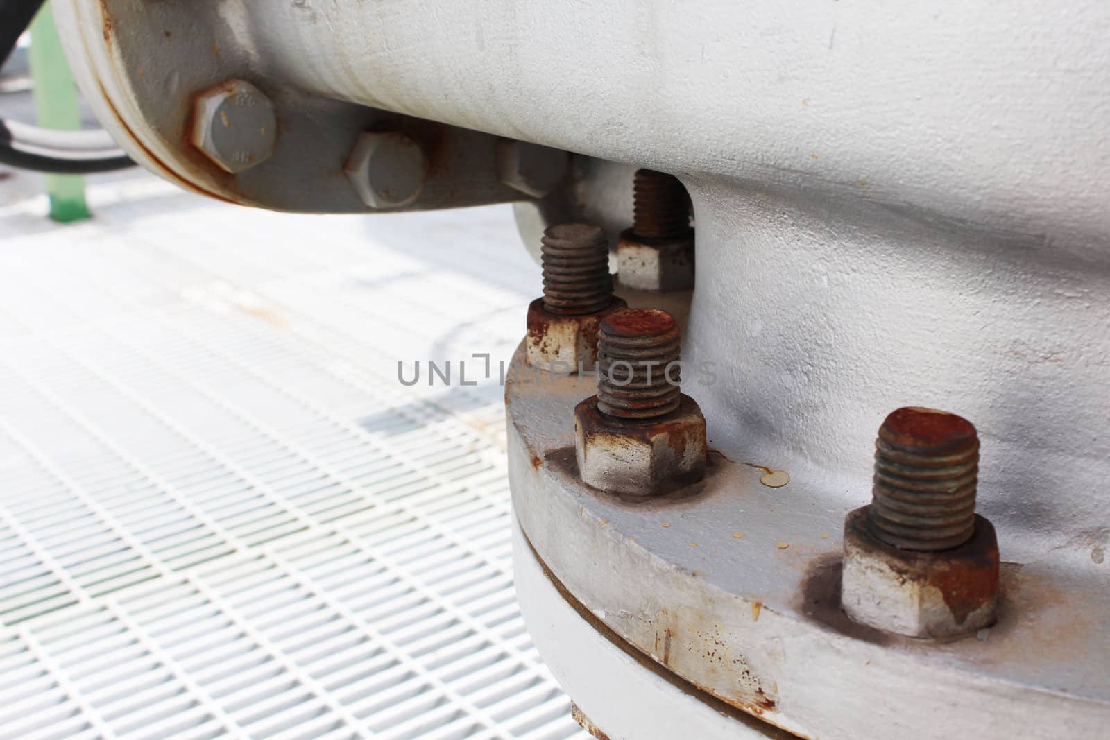 Bolt and nut with structure of chemical plant