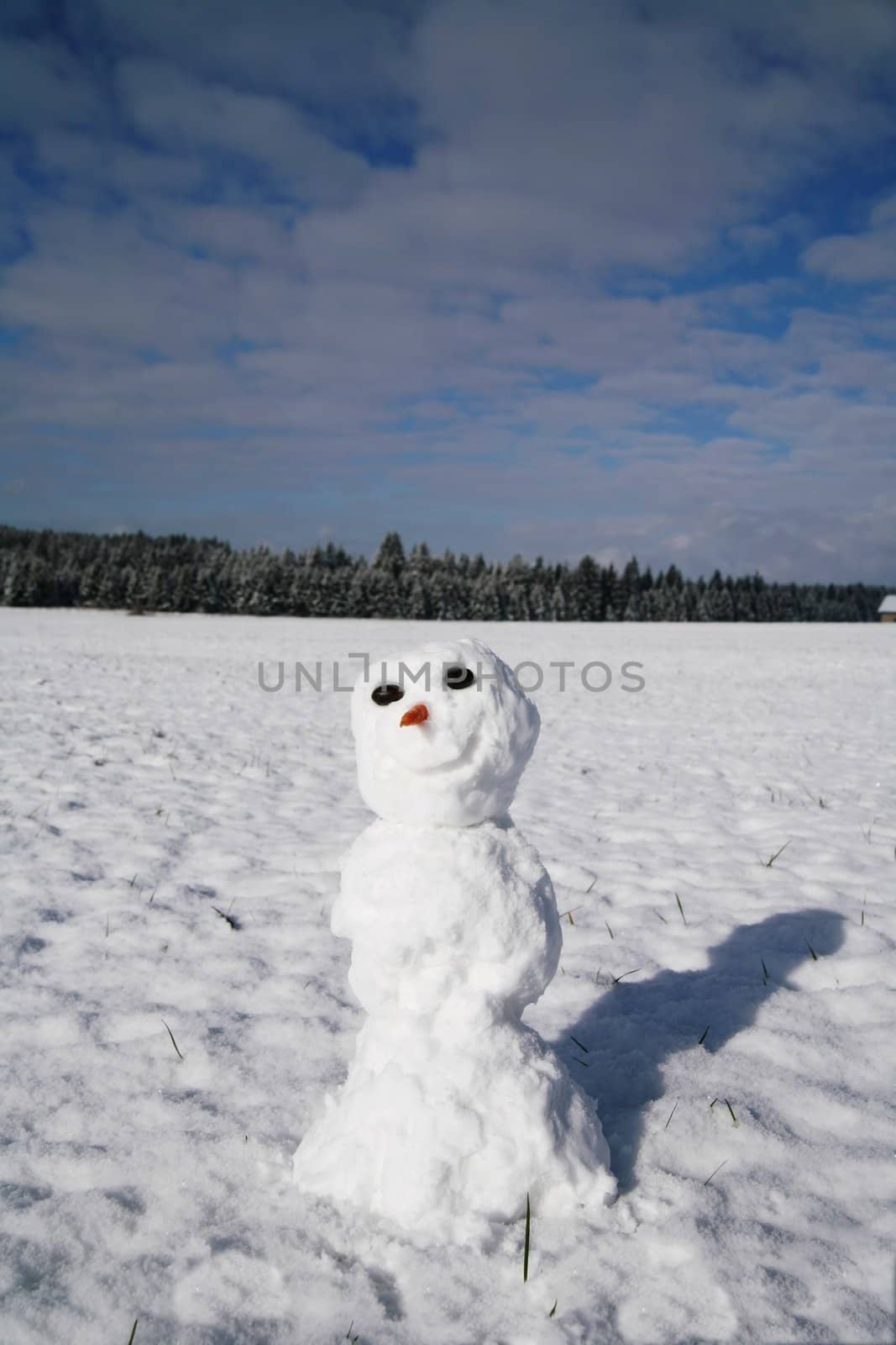 beautiful winter mood with a snowman in winter.