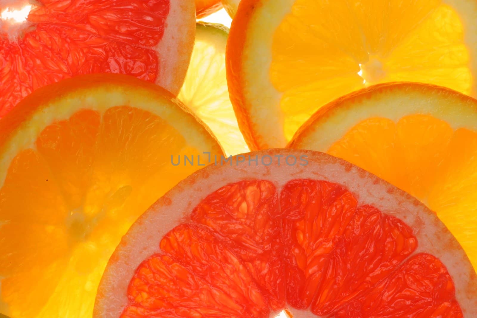 citrus fruits in slices...........