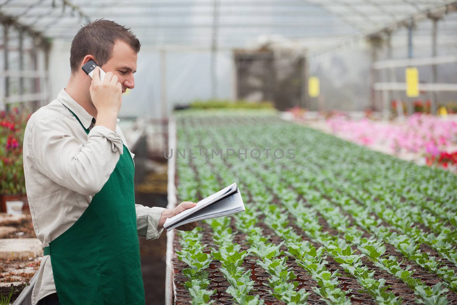 Gardener calling and taking notes in greenhouse by Wavebreakmedia