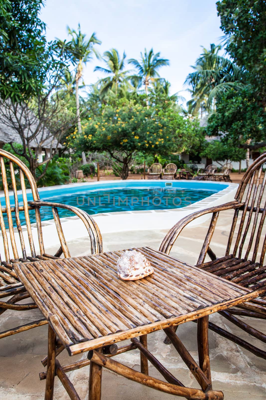 Elegant chairs made of wood close to a swimming pool inside a Kenyan garden