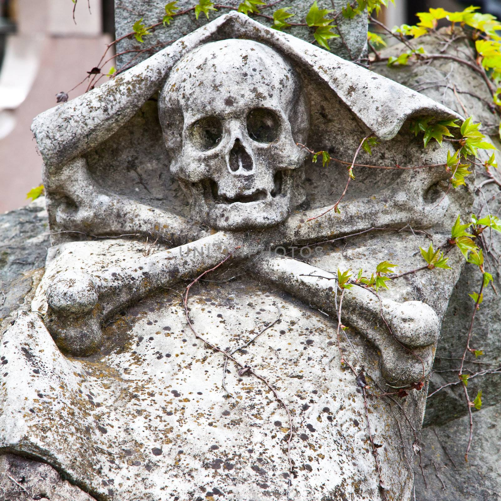 Collection of the most beautiful and moving architectures examples in European cemeteries