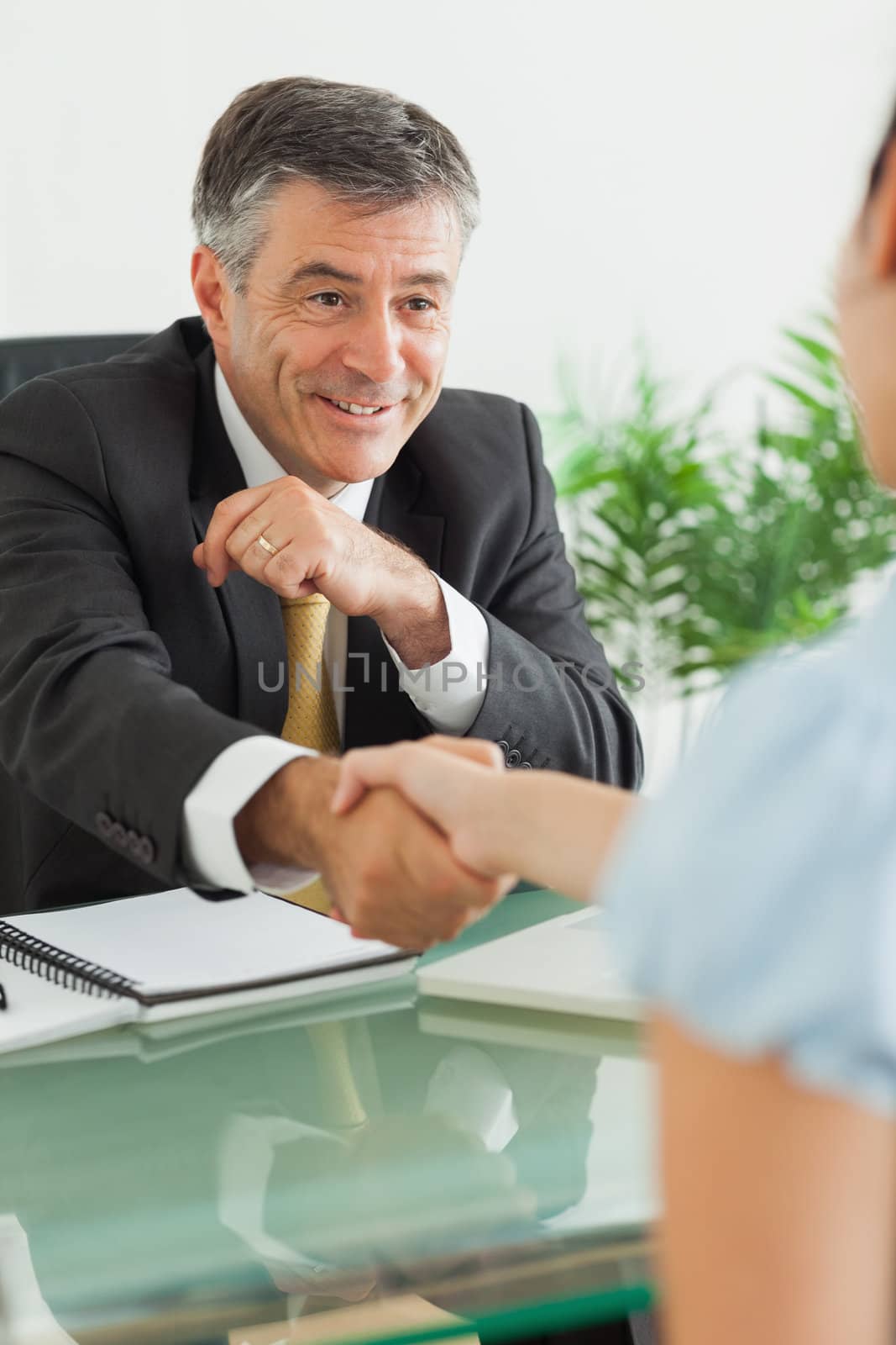 Smily businessman shaking a woman's hand in his office 