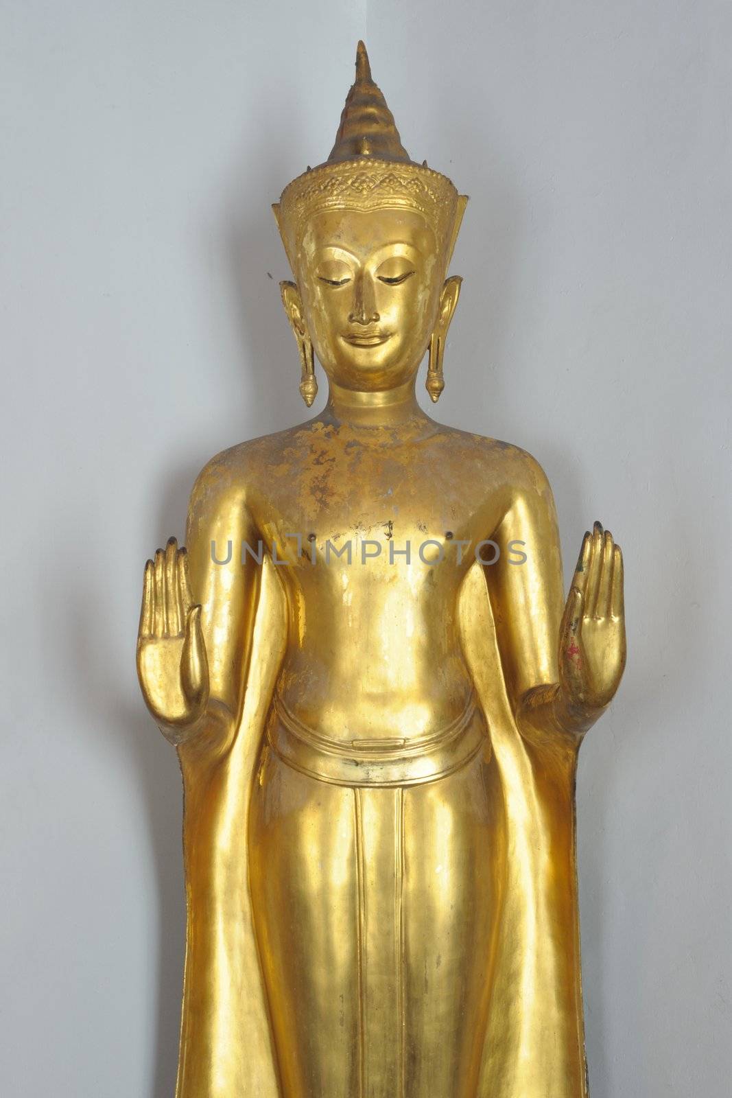 Gold standing Buddha. by ngungfoto