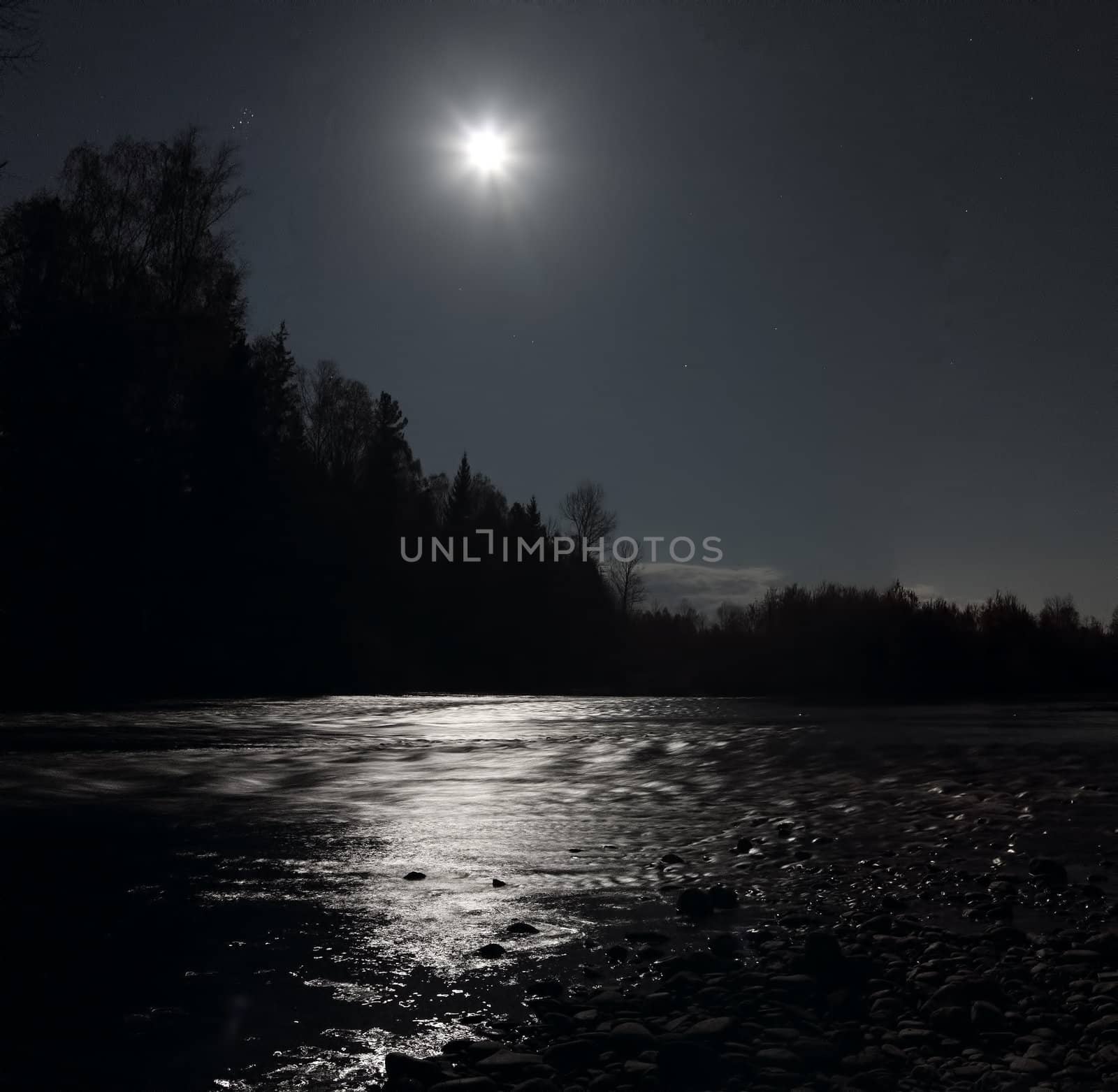 moonlit night in the forest on the river