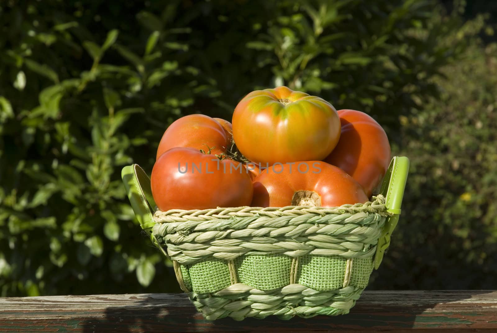 basket salad tomatoes outdoors