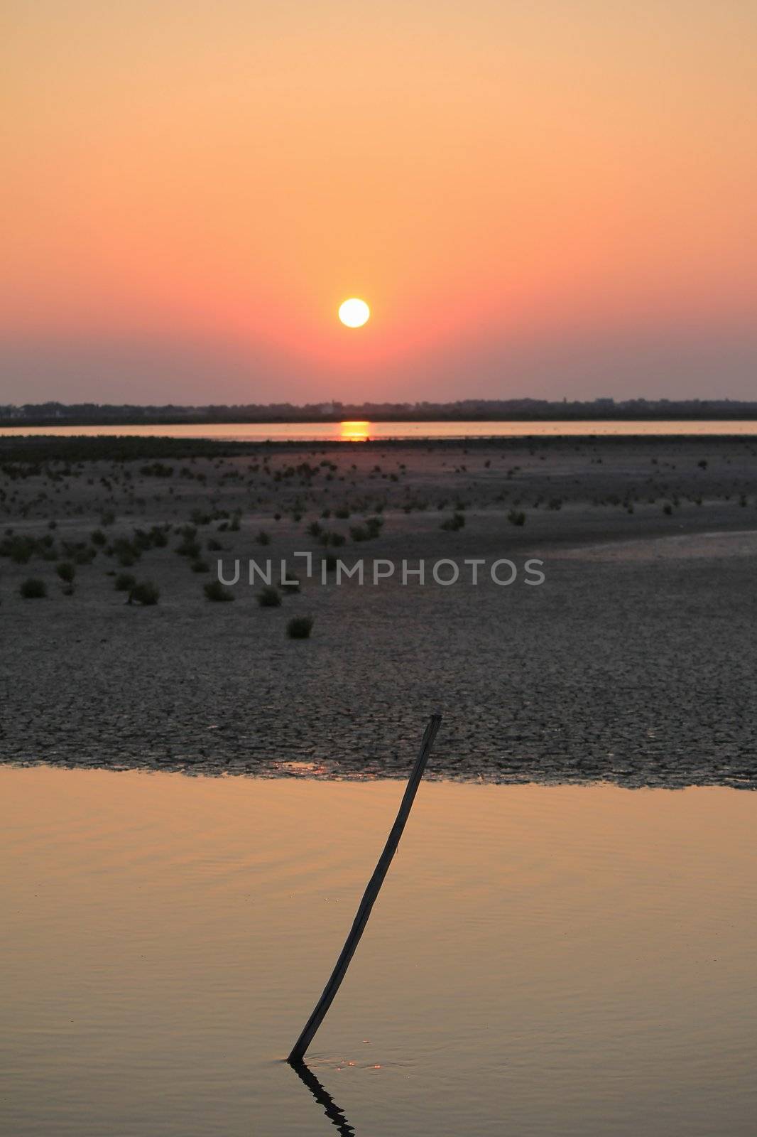 sunrise in Camargue