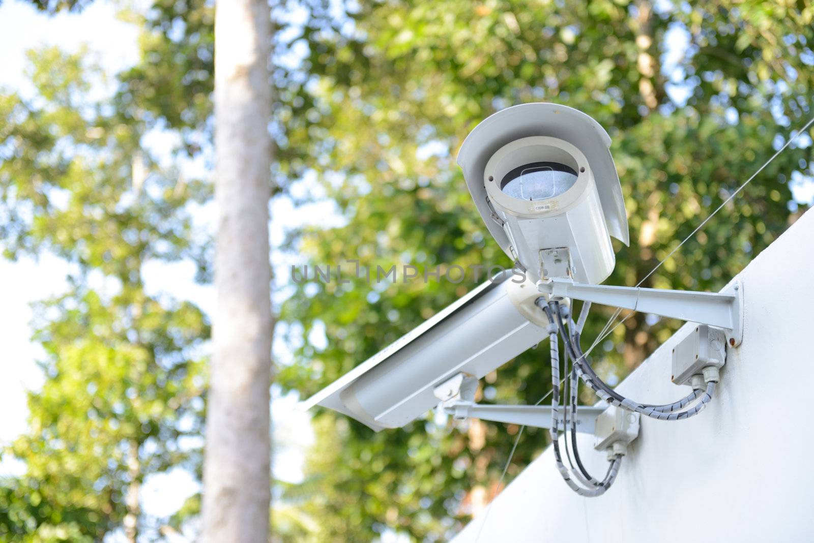 security camera on the fence next to the jungle