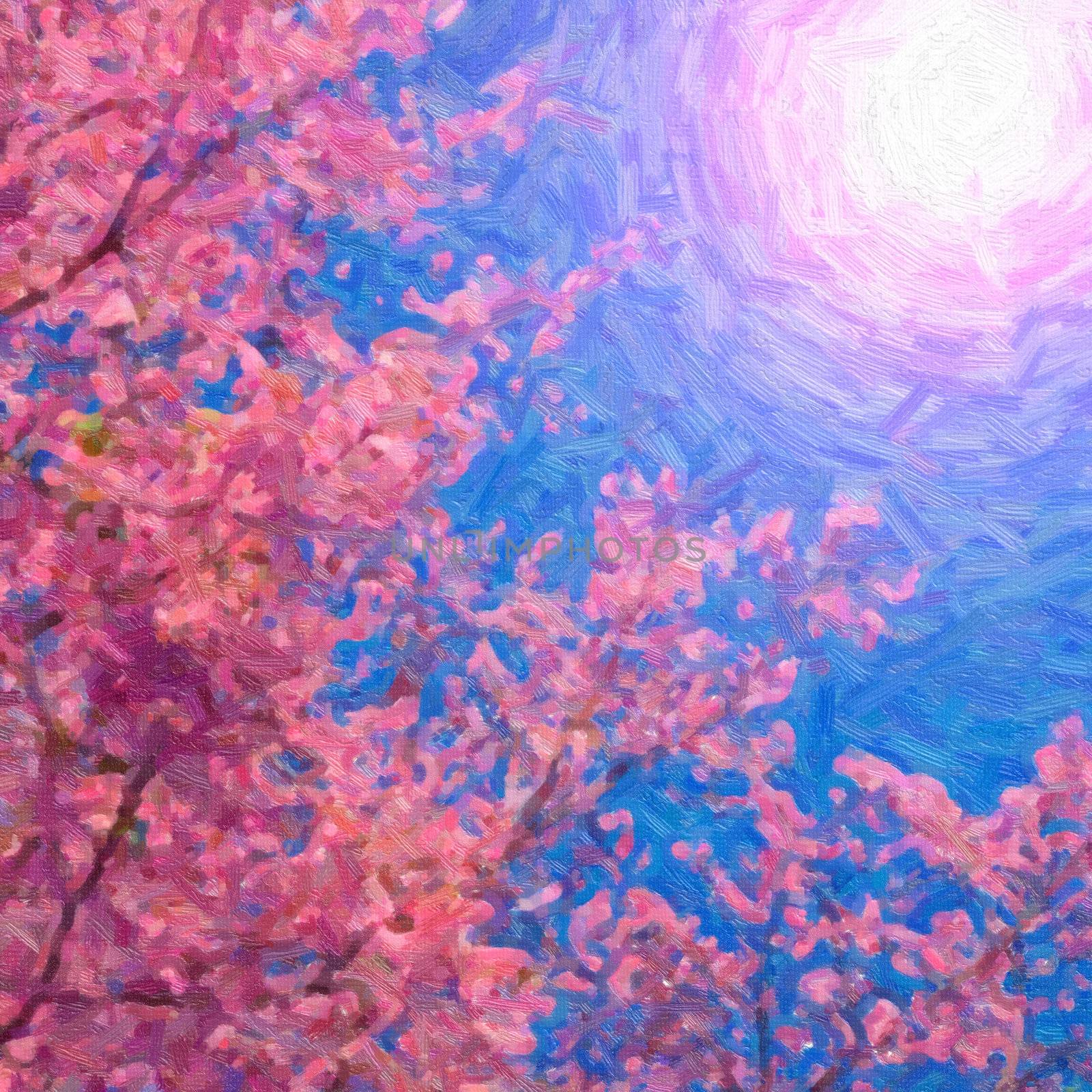 Blooming sakura on the blue sky background