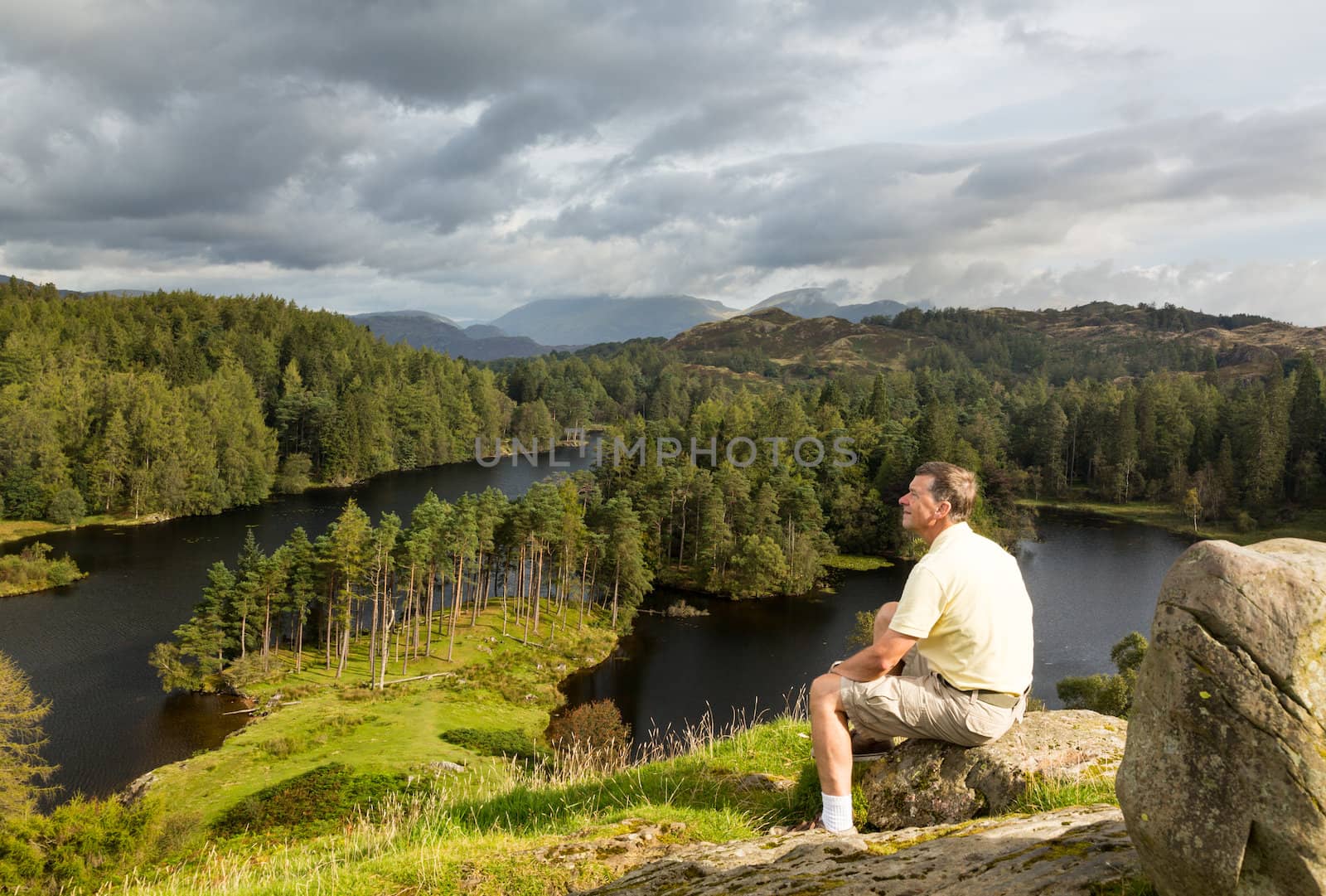 View over Tarn Hows in English Lake District by steheap