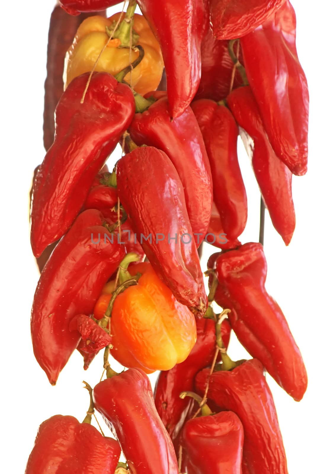 Red, hot chilli pepper isolated on white