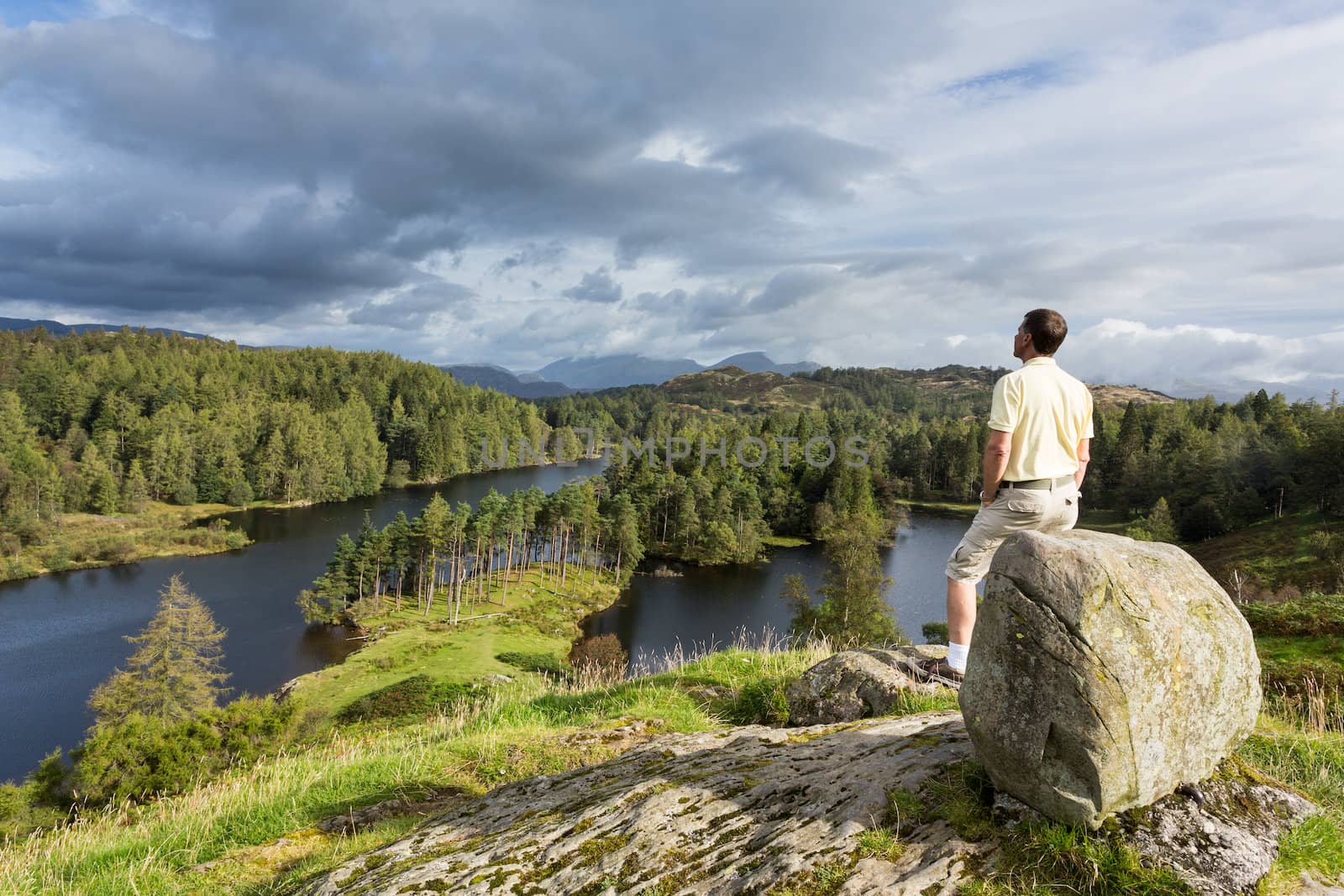 View over Tarn Hows in English Lake District by steheap