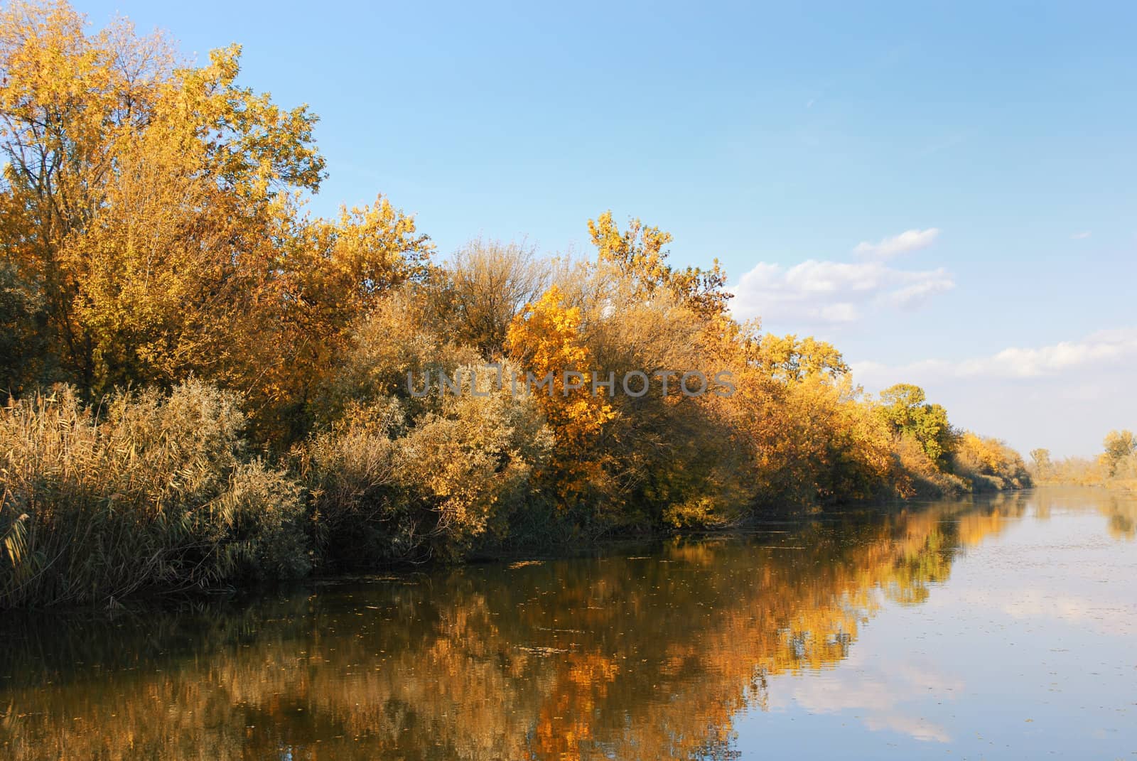 Nature season specific autumn river
