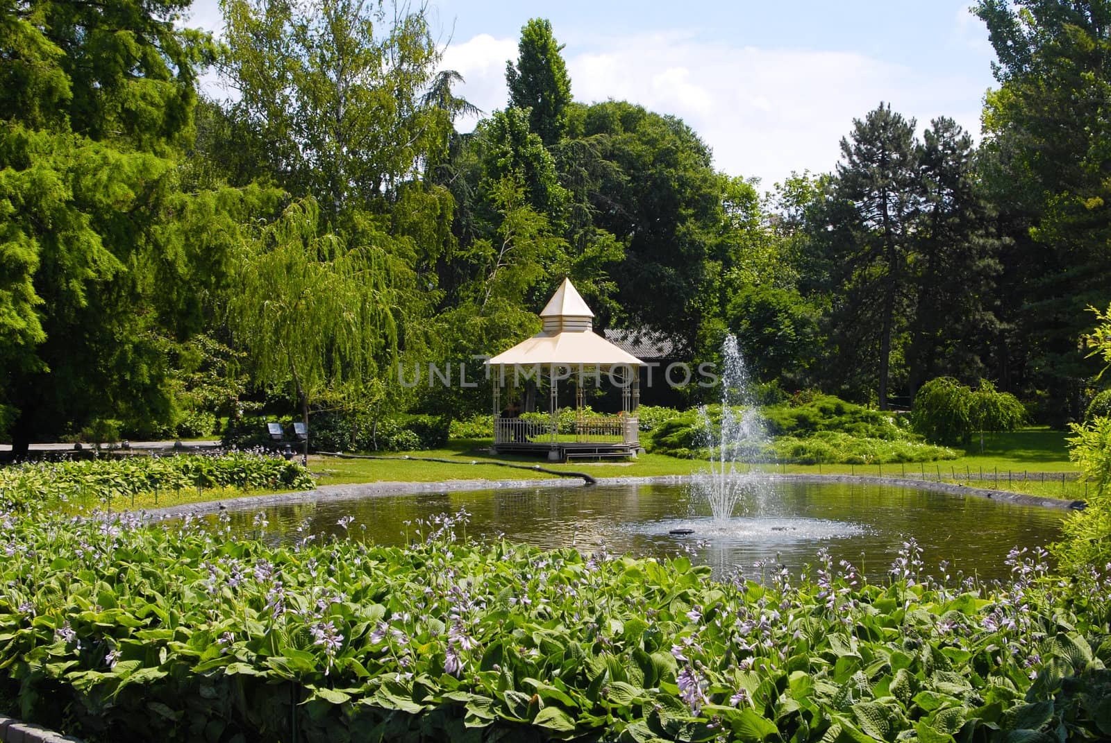 Summer park scene with fountain