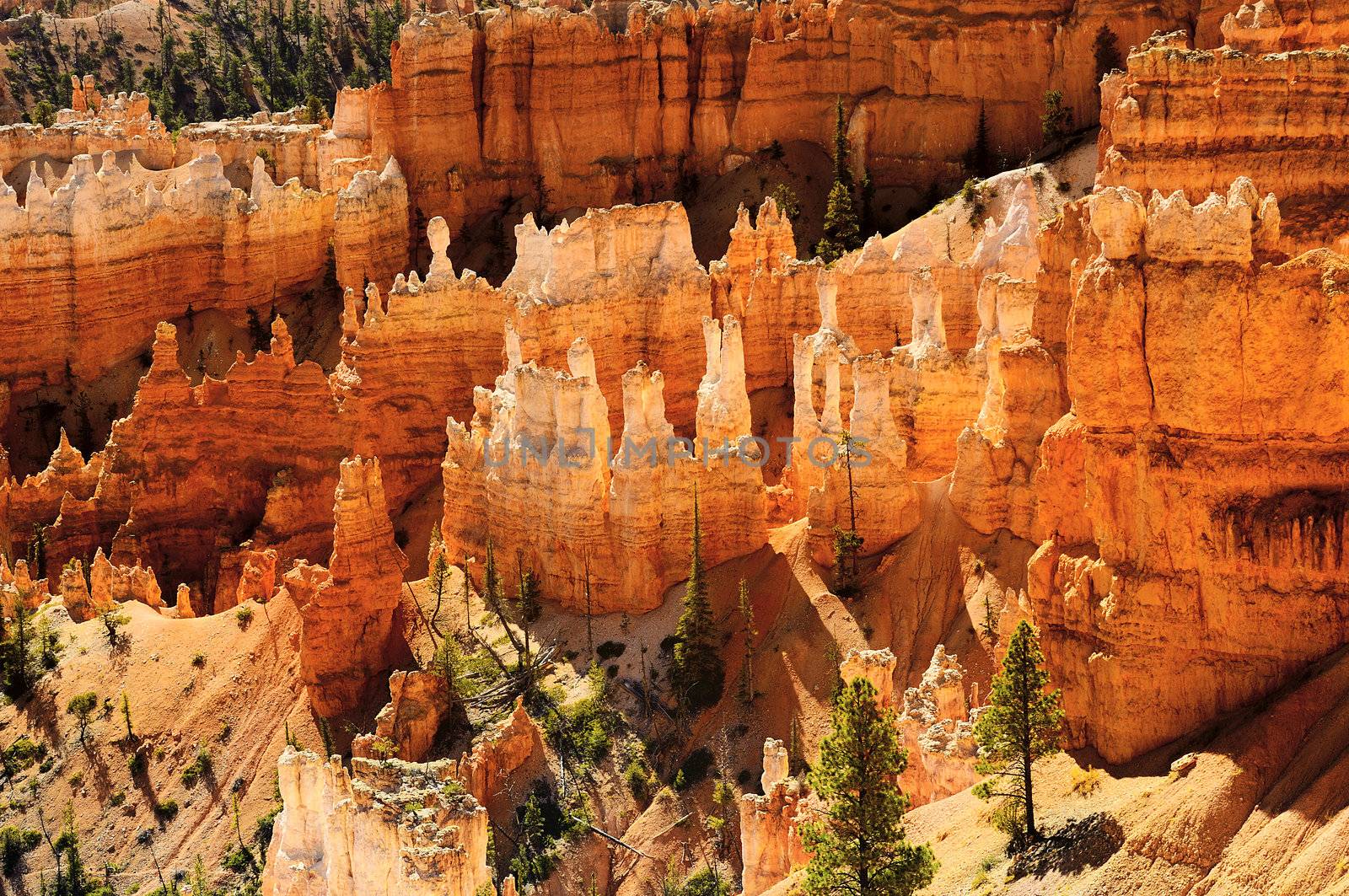 spectacular Hoodoo rock spires of Bryce Canyon, Utah, USA 