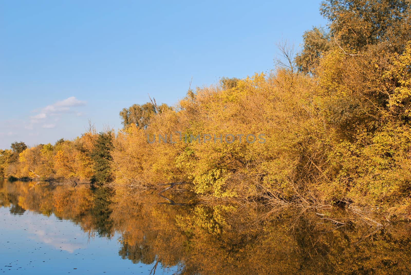 Nature scene with colorful autumn river
