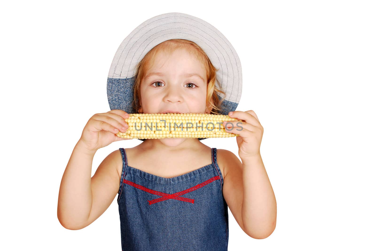 Little girl eat sweet corn studio shot