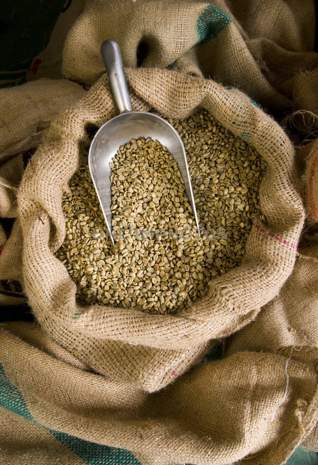 Raw Coffee Beans by ChrisBoswell